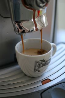 Talea Ring plus mid-brew Talea Ring plus mid-brew